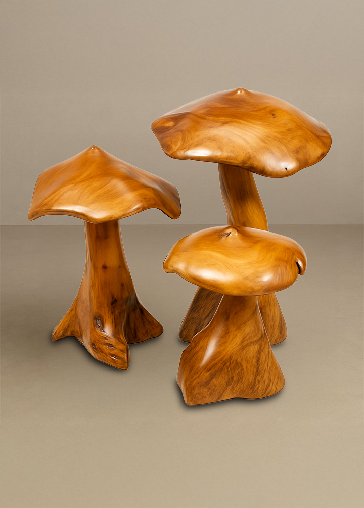 Mesa de Canto Mushroom